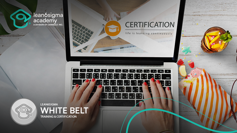 White Belt Certification